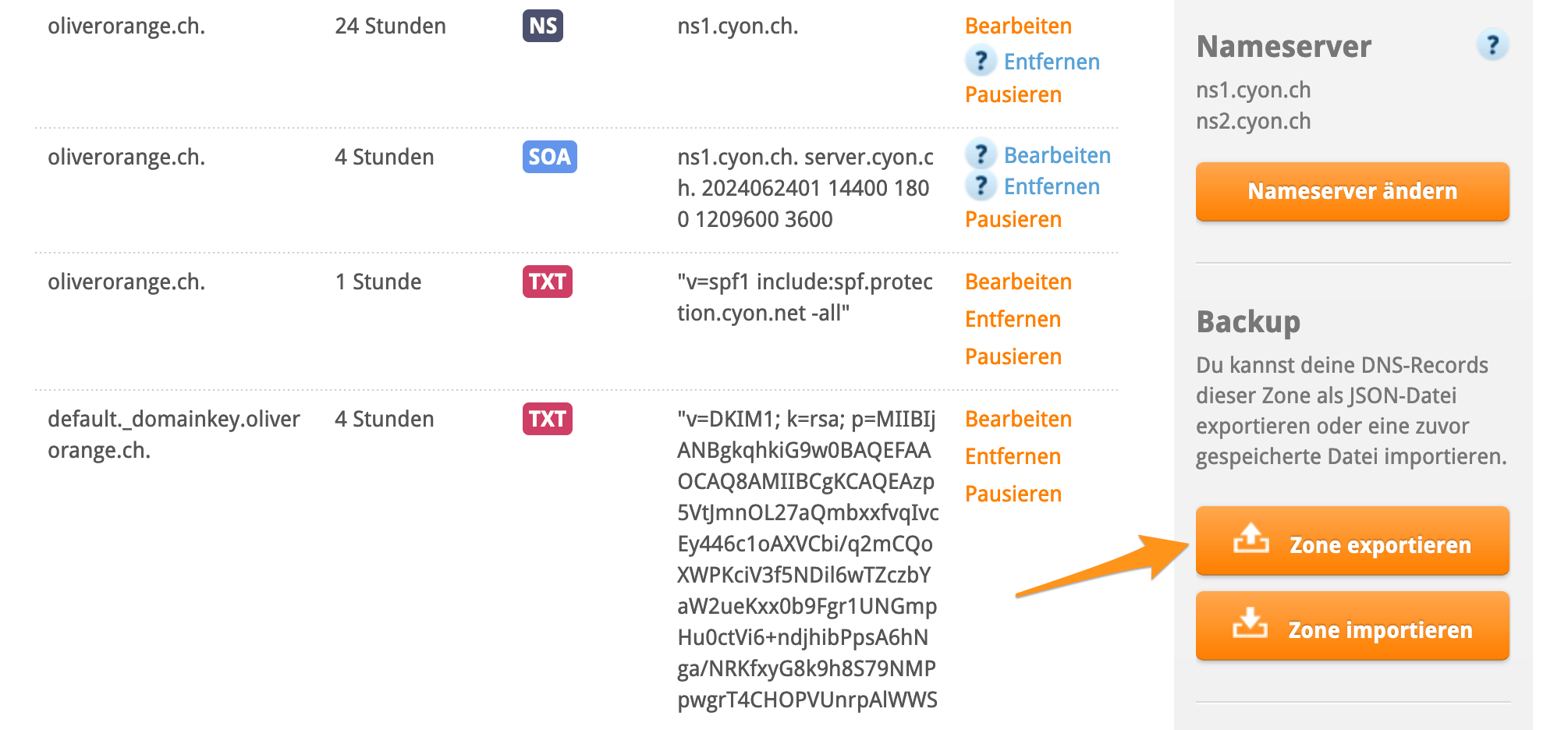 DNS-Zone exportieren