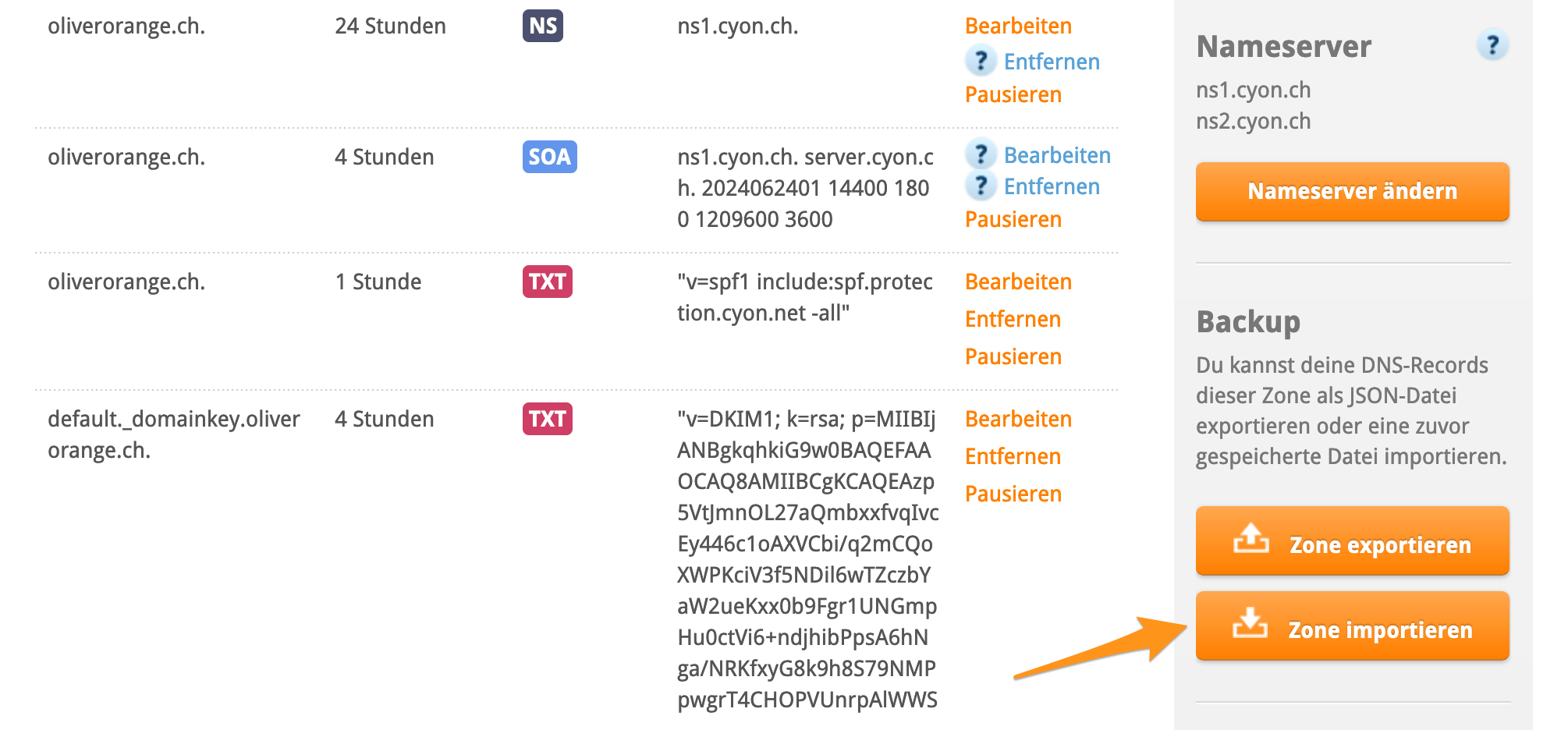 DNS-Zone importieren