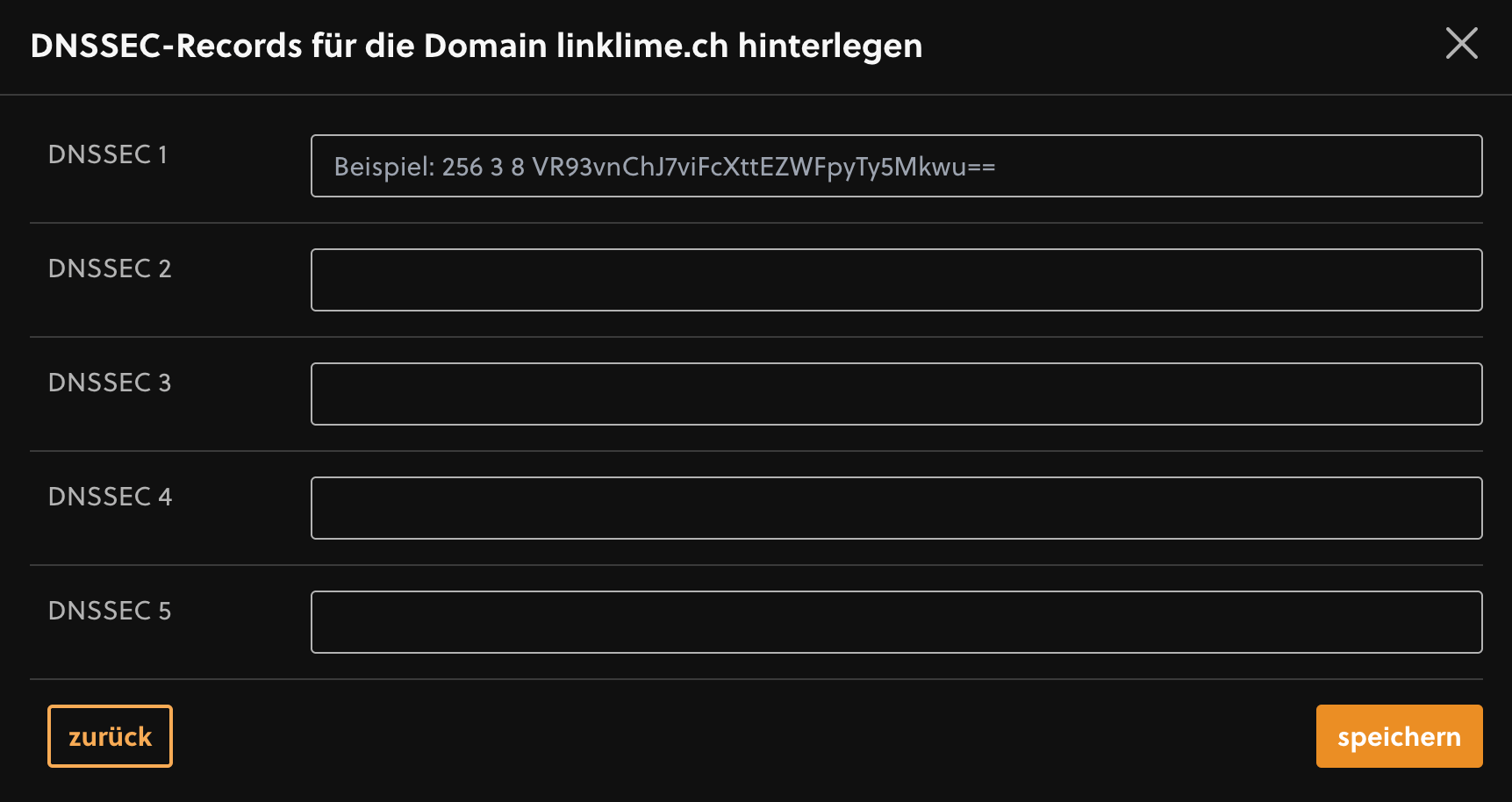 DNSSEC-Einträge einfügen und speichern