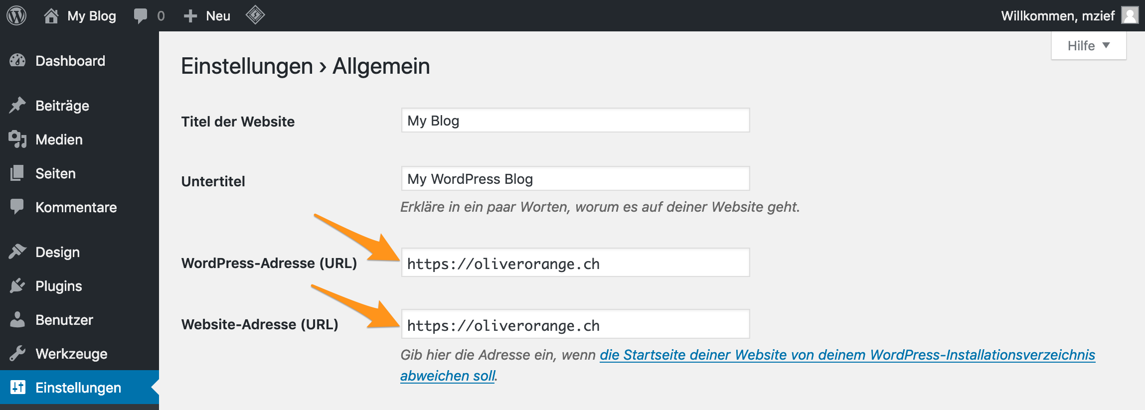 Ändern der Domain im WordPress-Backend