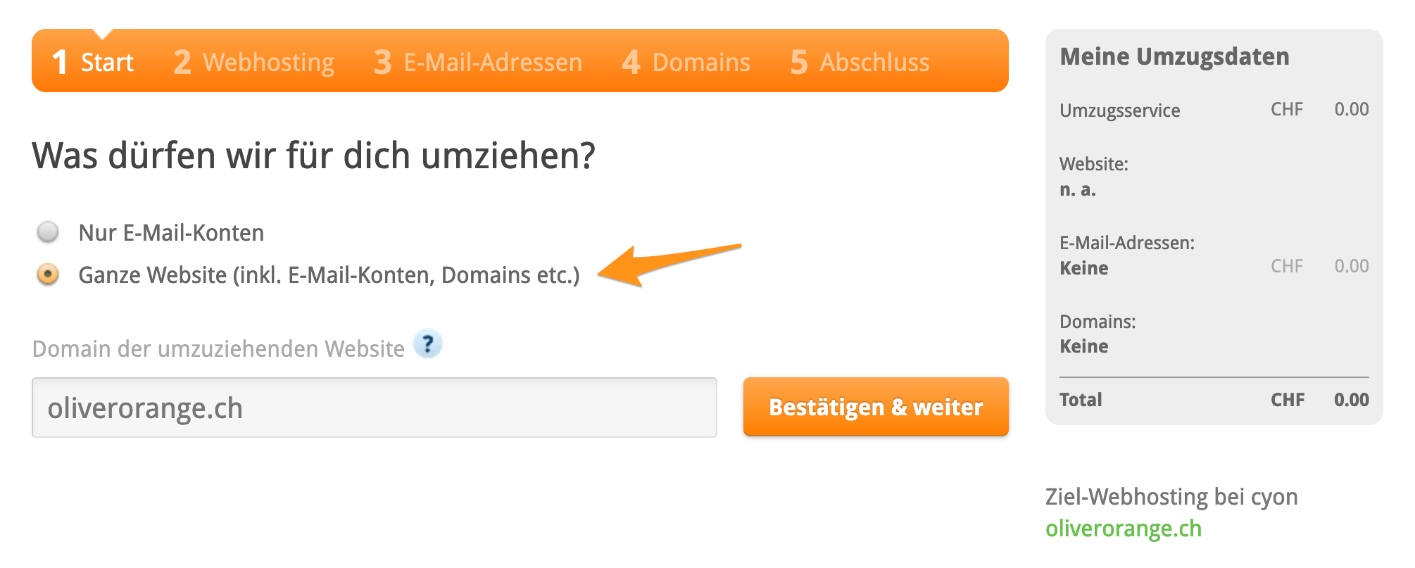 Art des Umzuges wählen und Domain der Website angeben